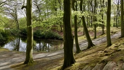 Bomen Virginie Janssen1