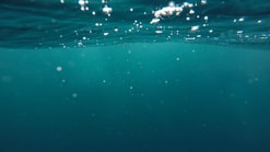 Water 2021 12 01 141157 orbn