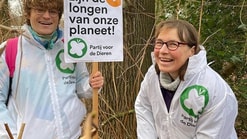 Bomenplanten