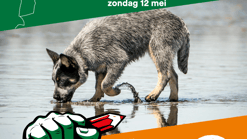 Post actiedag 1