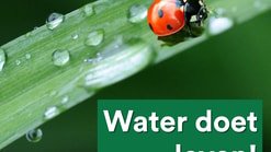 Watersymposium vierkante afbeelding vor op site