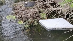 Plasticvervuiling 2022 05 12 094954 gqbn