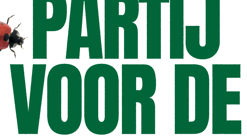 Pvd D PN gemeenteraadsverkiezingen 2026