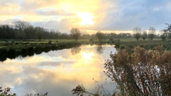 Cronesteyn wandeling