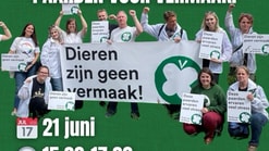 CHIO afbeelding