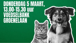 Poster Groenelaan 16 9