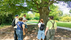 Wandeling Schiedam West