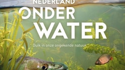 Filmposter Nederland onder Water uitsnede 768x512