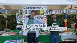 Molenmarkt W Zeger en Ivo