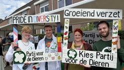 Molenmarkt Wagenignen Zwanny