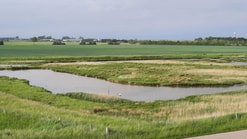 Natuur naast akker