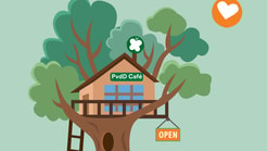 Pvd D café