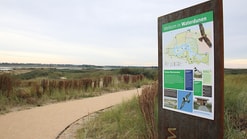 Waterdunen 02