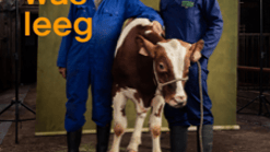 Poster Liesjes Hok Was Leeg