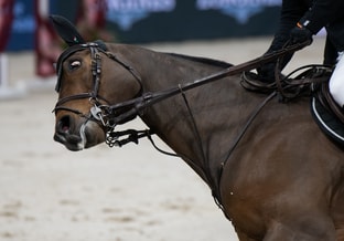 NR 2 springen paard wordt hardhandig aan het bit getrokken oog draait weg van de pijn