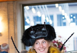 Bijen koningin