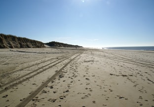 Hondsbossche Duinen 2