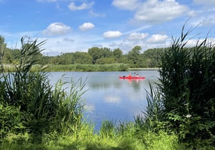 Vlietland Natuur