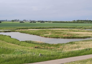 Natuur naast akker