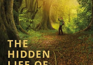 Hidden life of trees