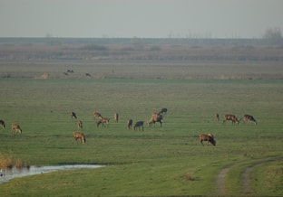 Jaaroverzicht2022