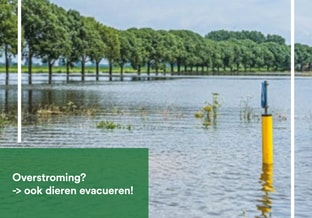 Dieren evacueren