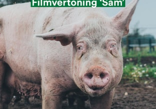Filmvertoning Sam 1