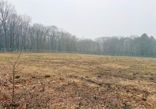 Kaalkap Utrechtseweg 301