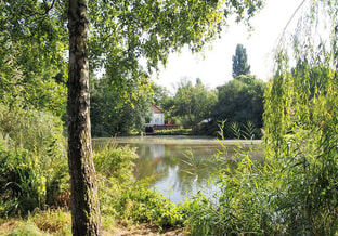 26 05 12 Update dijk Flevopark pic3 5833ab