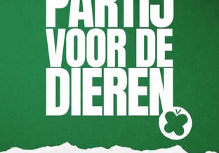Stem Pvd D Apeldoorn