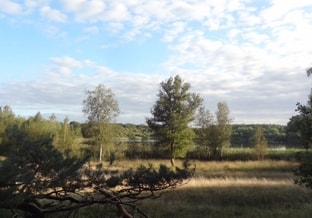 Veluwe foto 2