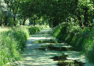 Een sloot in de Groene Mal