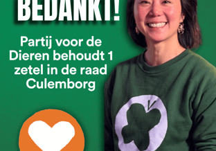 Kandidaten cul 9