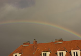 Pexels jaralol 11423604