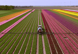 Landbouwgif