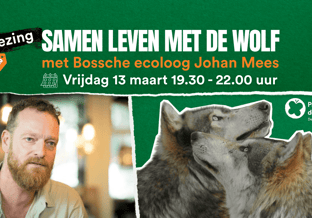 Lezing wolf