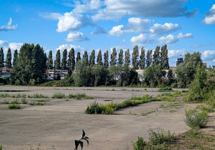 Maasterras middenterrein asfalt