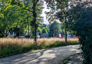 Maasterras woonwagenkamp bomen