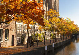 Shutterstock 444405109 web
