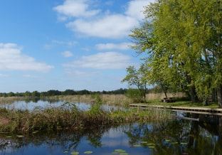 2025 water met groen