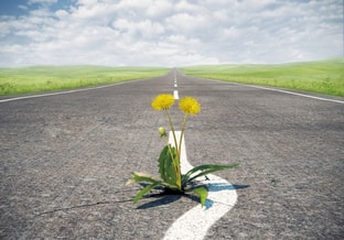 Shutterstock 251749327