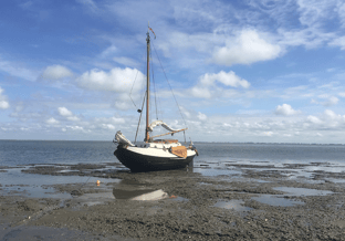 Wadden Enkuizer bol