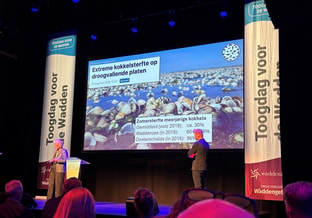 Toogdag wadden 2026