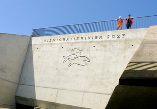 Vismigratie rivier