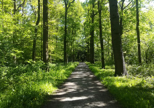 20180504 Oud Amelisweerd4