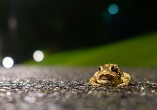 Charles jackson YY Eh ERVQ Wrc unsplash