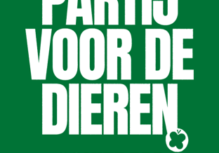 Voorkant publieksprogramma vierkant