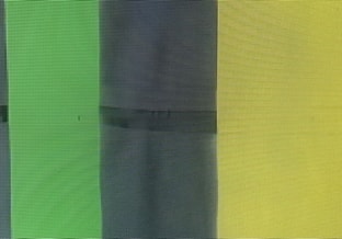 Regenboog zebrapad