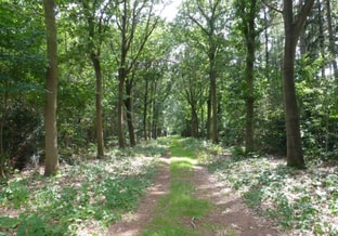 Oudetempel