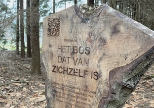 Bos dat van zichzelf is